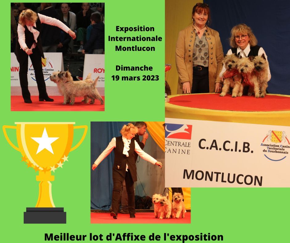Tara cottage - Exposition Internationale de Montluçon 
