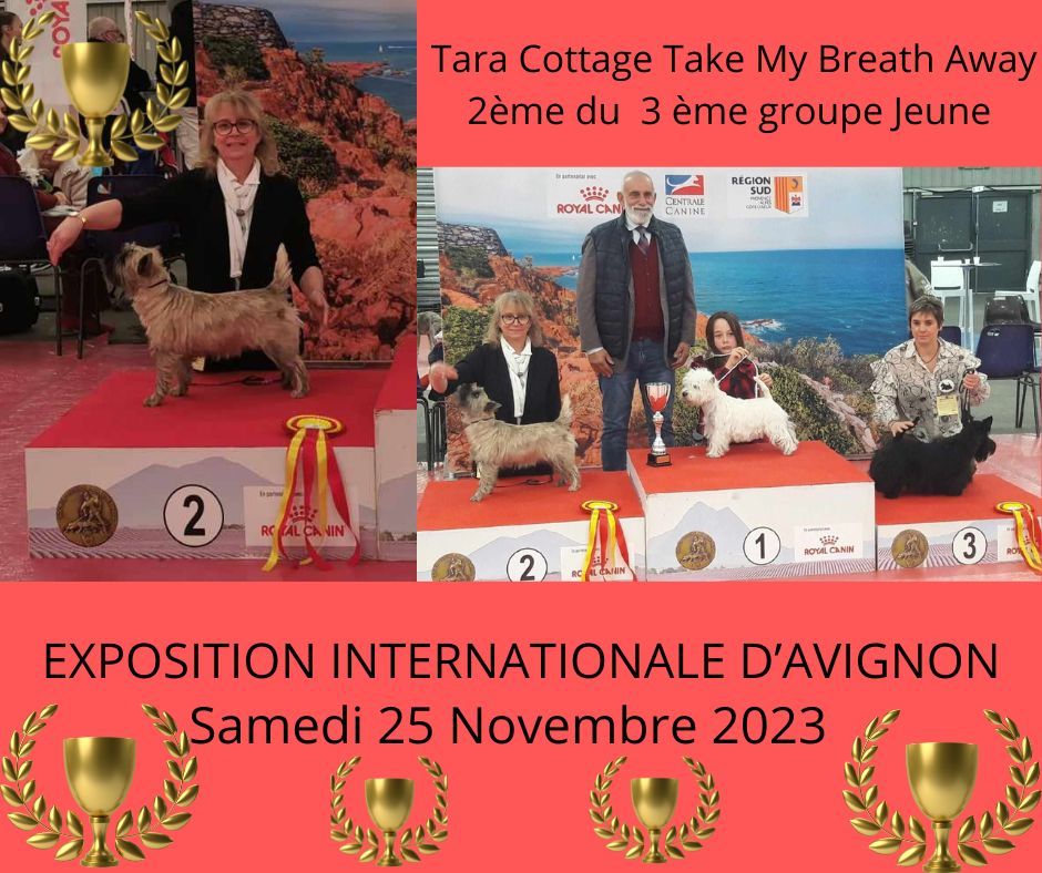 Tara cottage - Deux podiums à  Avignon 