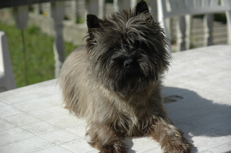 Tara cottage Upperdonside
