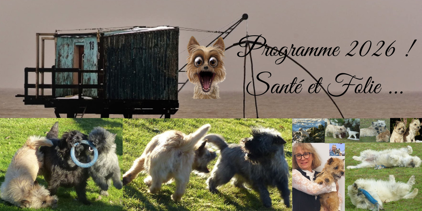 Belle et heureuse année 2026