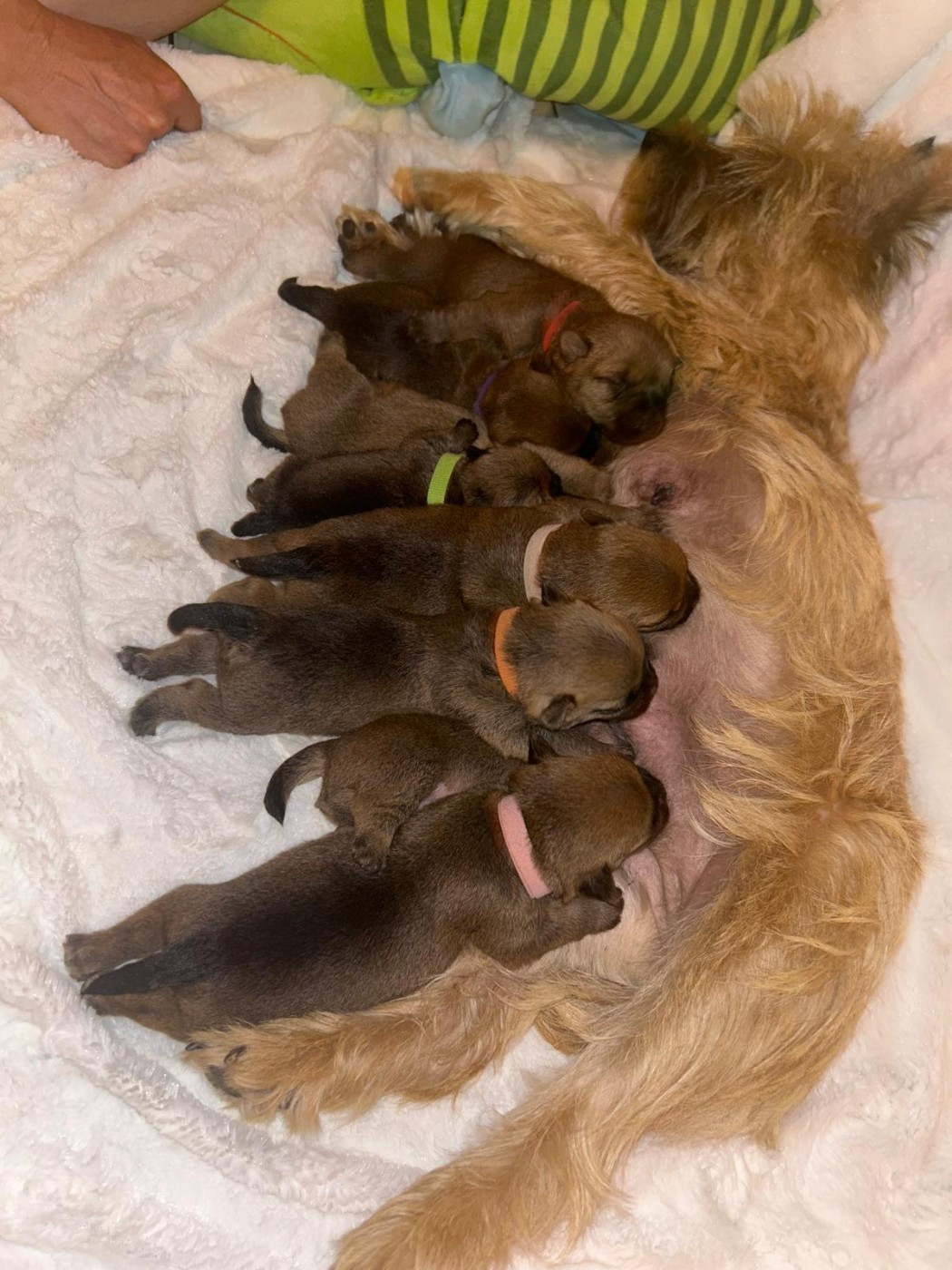 Naissance
