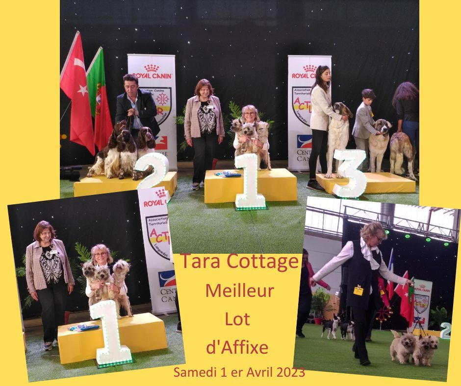 Tara cottage - Exposition Nationale de Alès